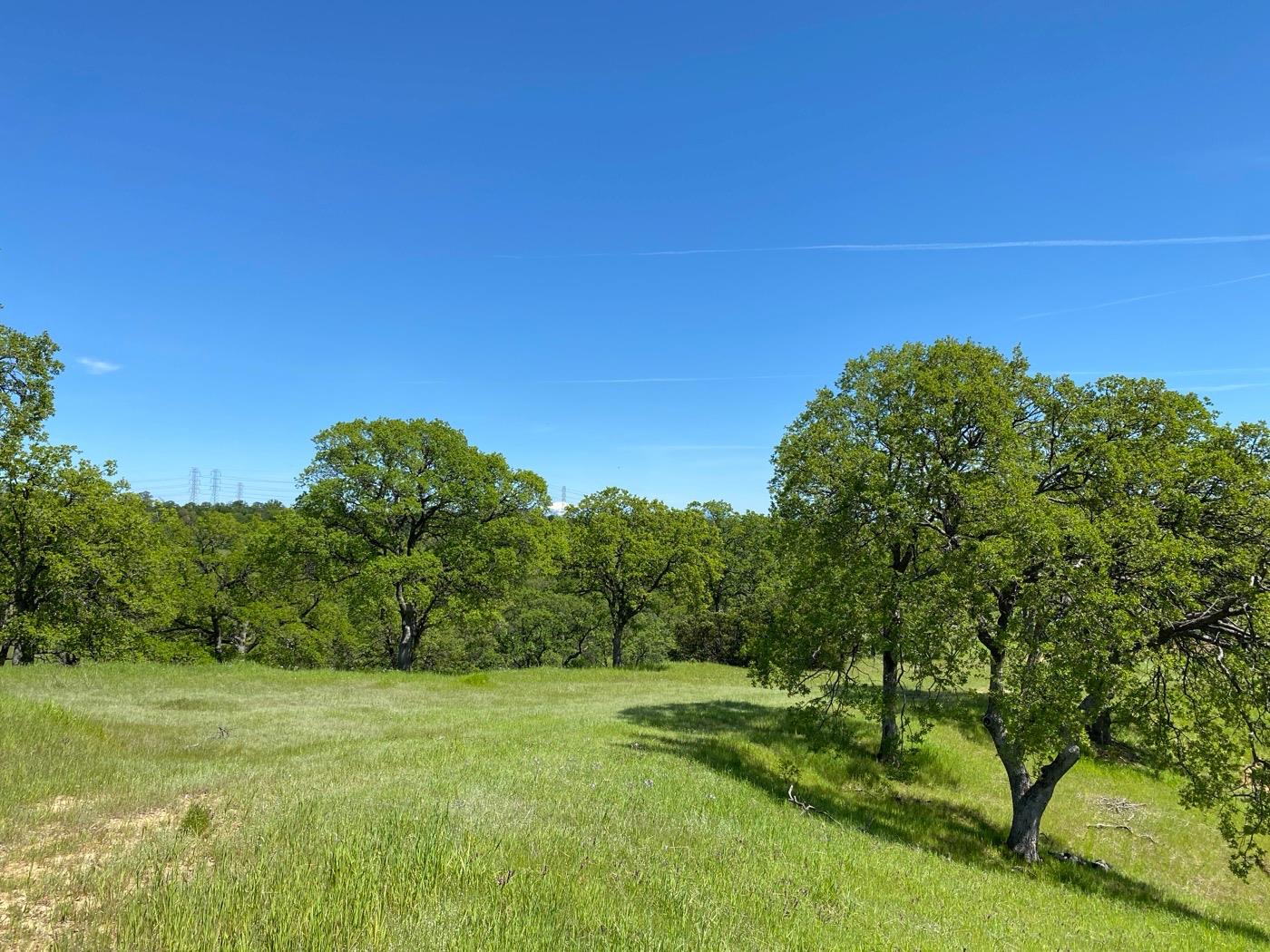 Acres Happy Valley Trail, Cottonwood, California image 6