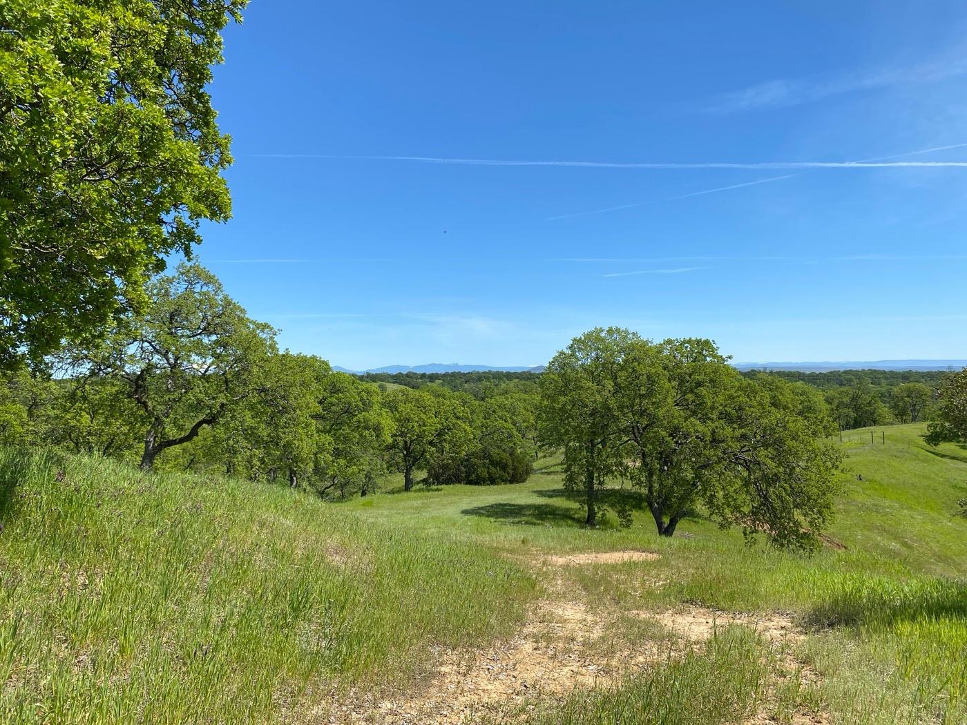 Acres Happy Valley Trail, Cottonwood, California image 13