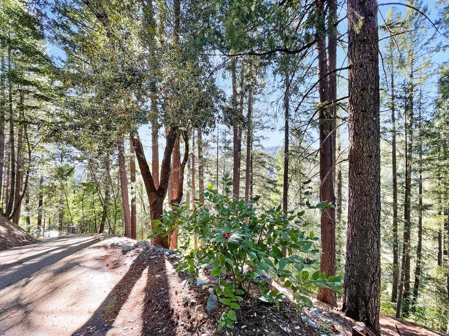 Detail Gallery Image 7 of 21 For 13393 Placer Ln, Nevada City,  CA 95959 - 2 Beds | 1/1 Baths