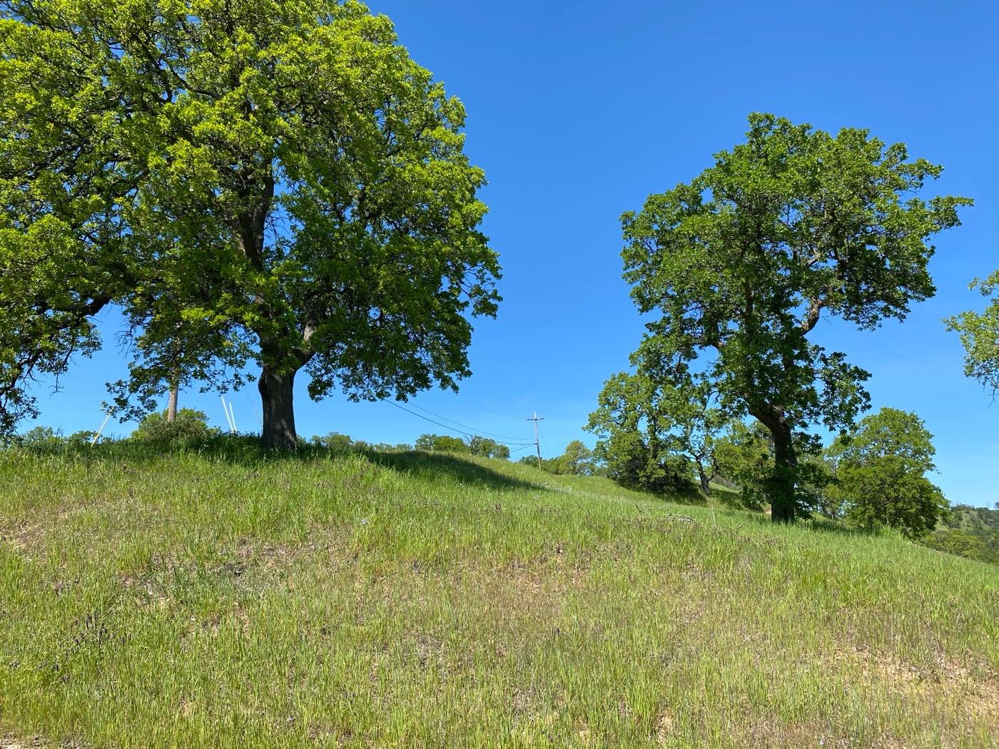 Acres Happy Valley Trail, Cottonwood, California image 9