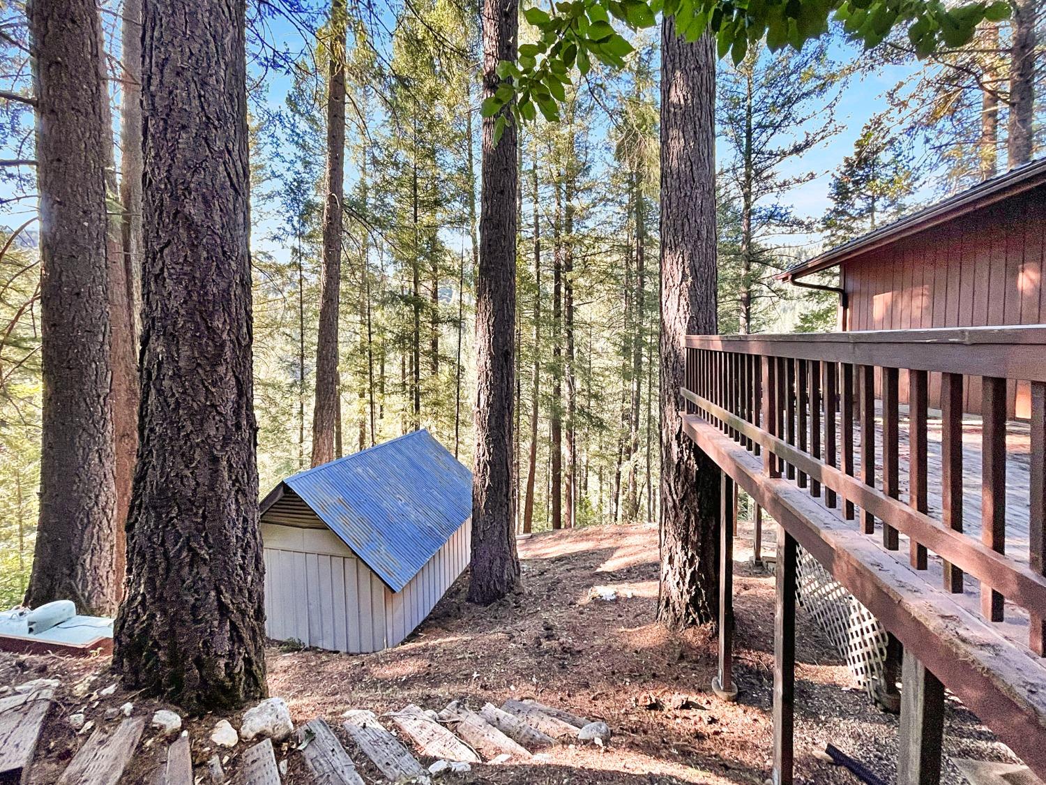 Detail Gallery Image 6 of 21 For 13393 Placer Ln, Nevada City,  CA 95959 - 2 Beds | 1/1 Baths