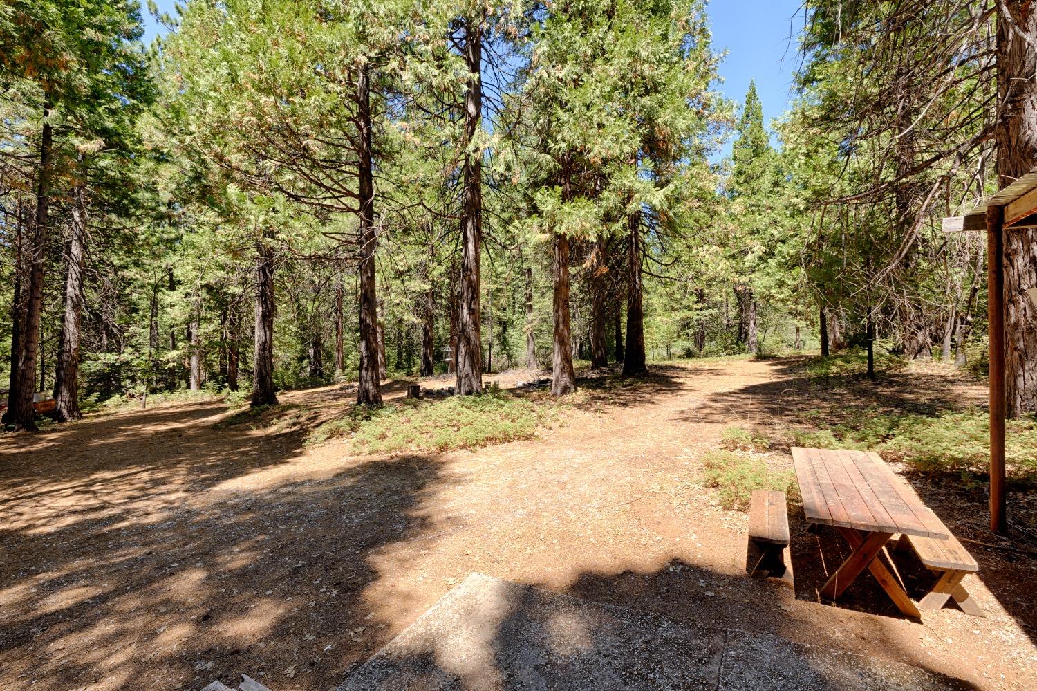 Detail Gallery Image 12 of 16 For 18599 Cruzon Grade Rd, Nevada City,  CA 95959 - – Beds | – Baths