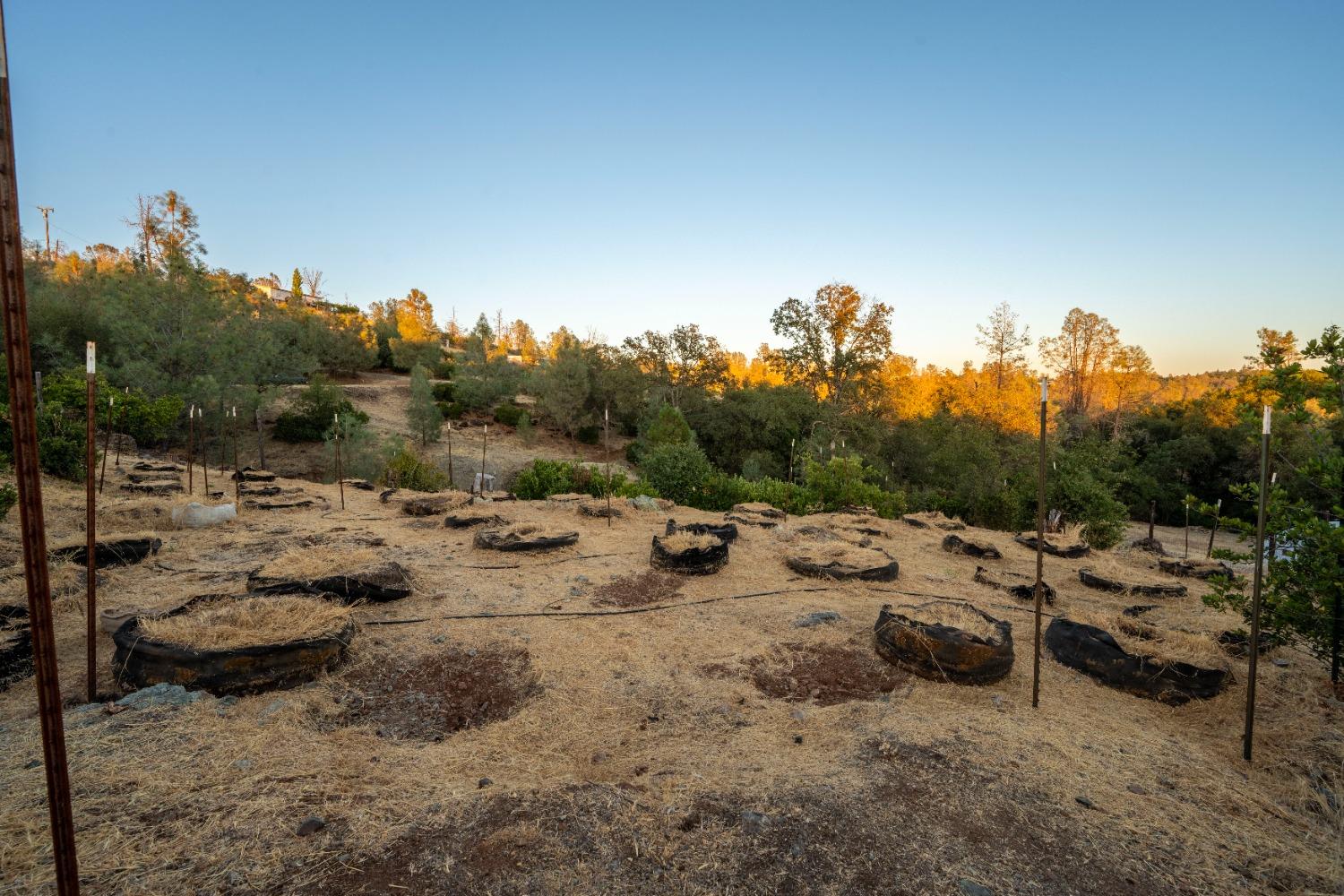 Detail Gallery Image 24 of 33 For 10990 Palm Ct, Grass Valley,  CA 95949 - 4 Beds | 2 Baths