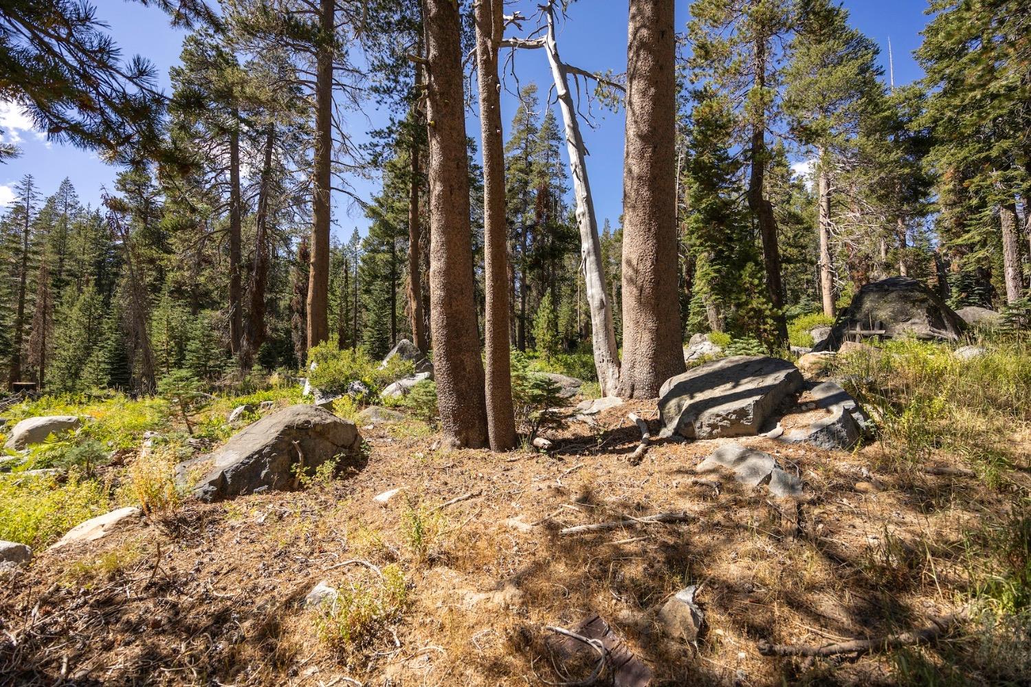 Donner Pass Road, Soda Springs, California image 1