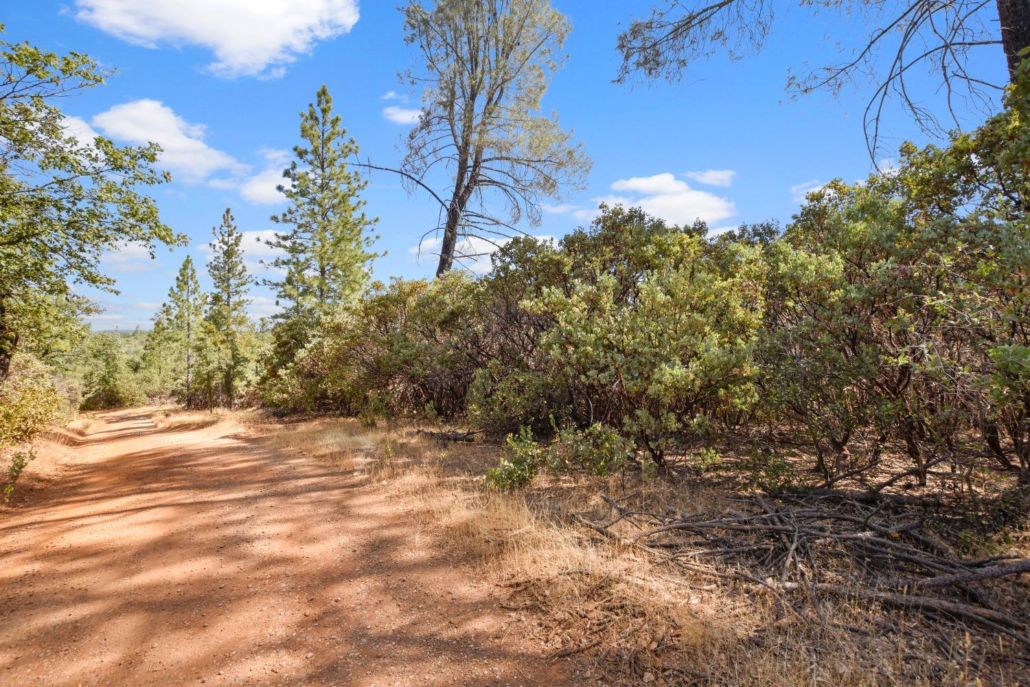 Detail Gallery Image 13 of 22 For 2101 Trail Gulch Rd, Placerville,  CA 95667 - – Beds | – Baths