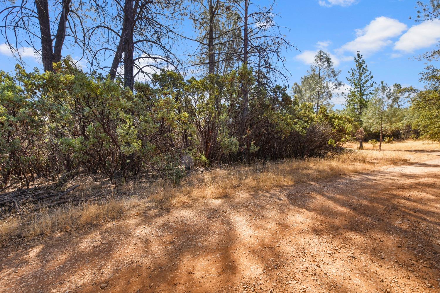 Detail Gallery Image 30 of 39 For 2101 Trail Gulch Rd, Placerville,  CA 95667 - – Beds | – Baths