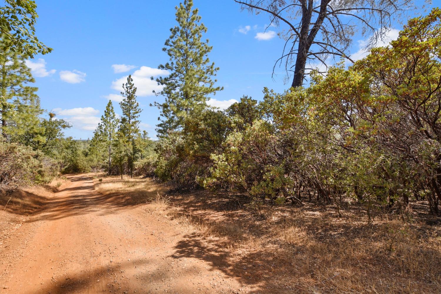 Detail Gallery Image 17 of 22 For 2101 Trail Gulch Rd, Placerville,  CA 95667 - – Beds | – Baths