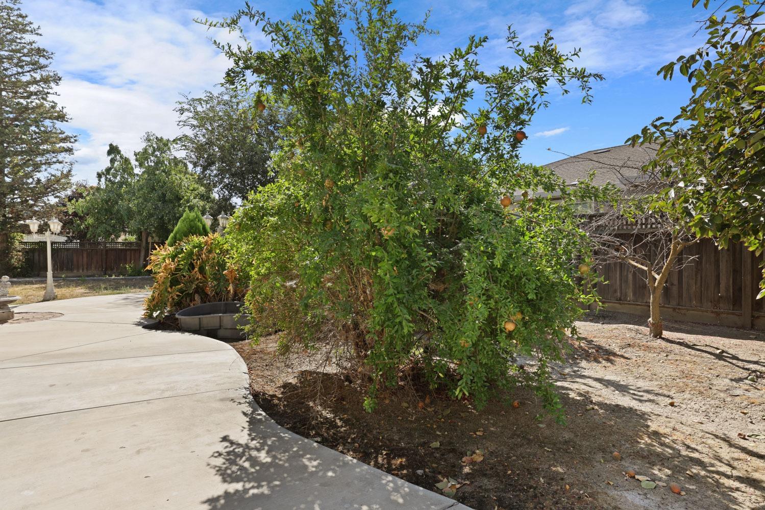 Detail Gallery Image 54 of 60 For 28272 S Zephyr Dr, Tracy,  CA 95304 - 5 Beds | 3/1 Baths