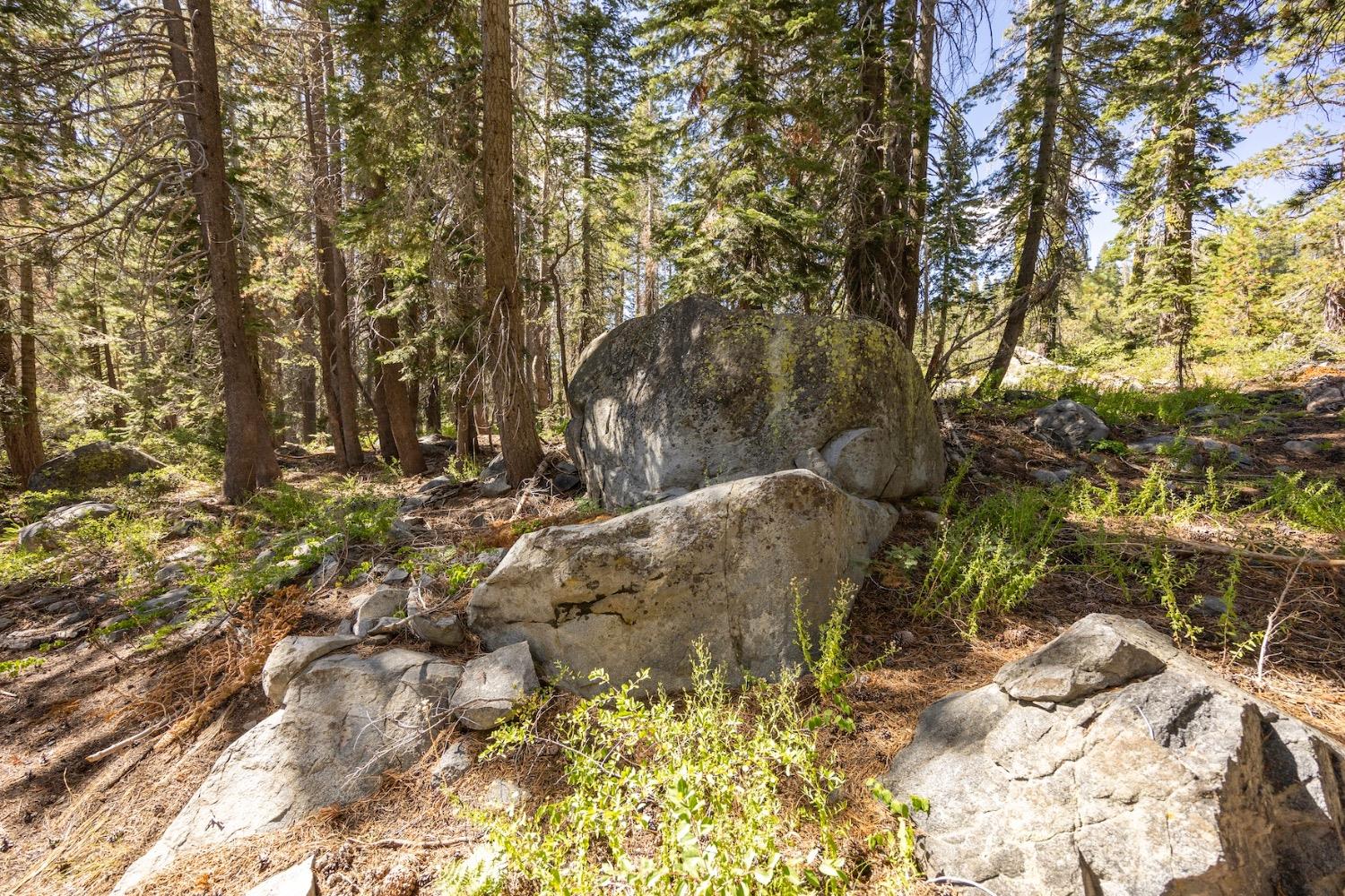 Donner Pass Road, Soda Springs, California image 9