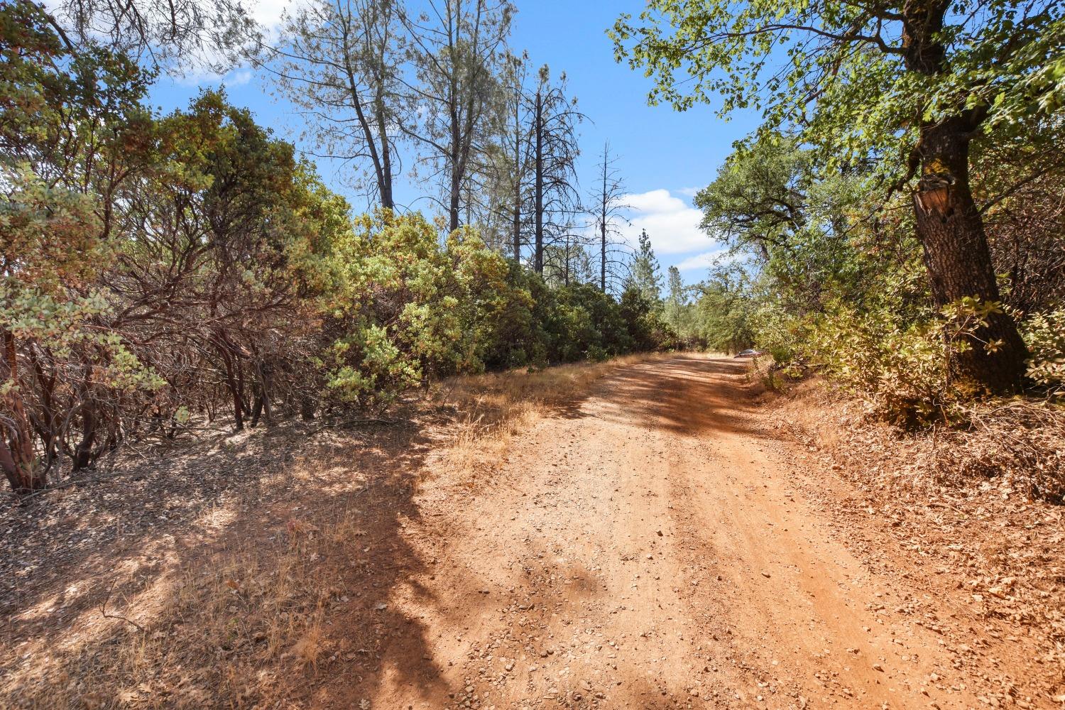 Detail Gallery Image 33 of 39 For 2101 Trail Gulch Rd, Placerville,  CA 95667 - – Beds | – Baths