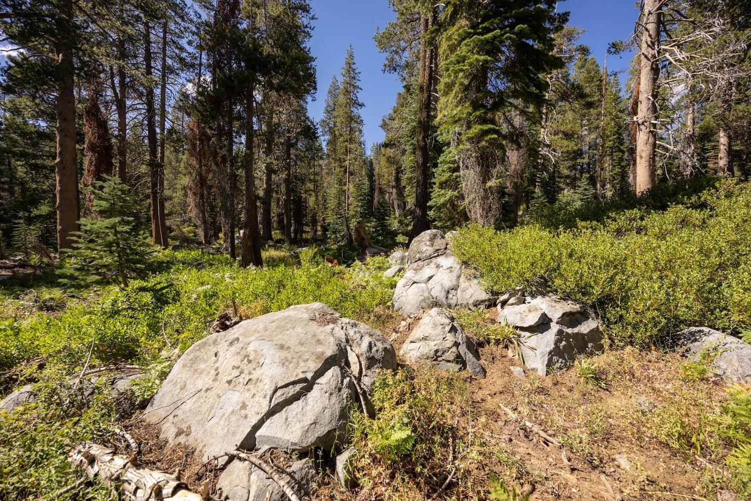 Donner Pass Road, Soda Springs, California image 11