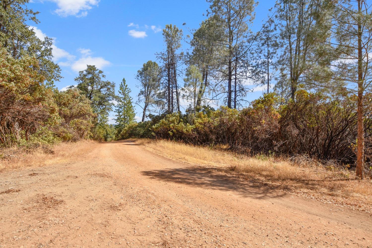 Detail Gallery Image 12 of 22 For 2101 Trail Gulch Rd, Placerville,  CA 95667 - – Beds | – Baths