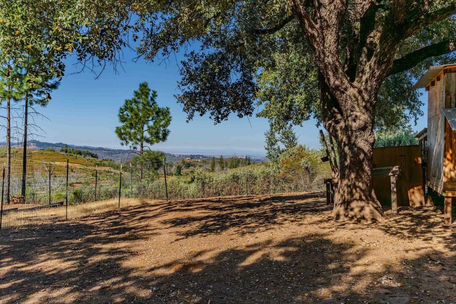 Baker Riley Way, Mokelumne Hill, California image 42