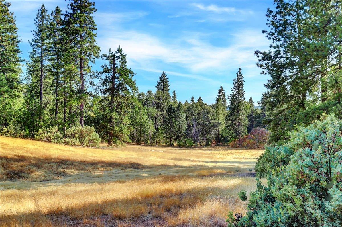 Detail Gallery Image 76 of 99 For 18955 Lake City Rd, Nevada City,  CA 95959 - 3 Beds | 3 Baths