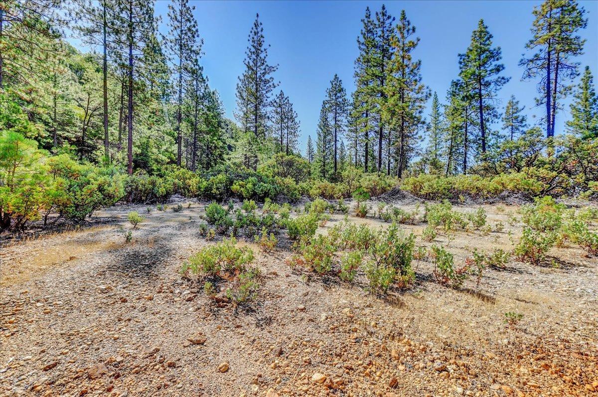 Detail Gallery Image 84 of 99 For 18955 Lake City Rd, Nevada City,  CA 95959 - 3 Beds | 3 Baths