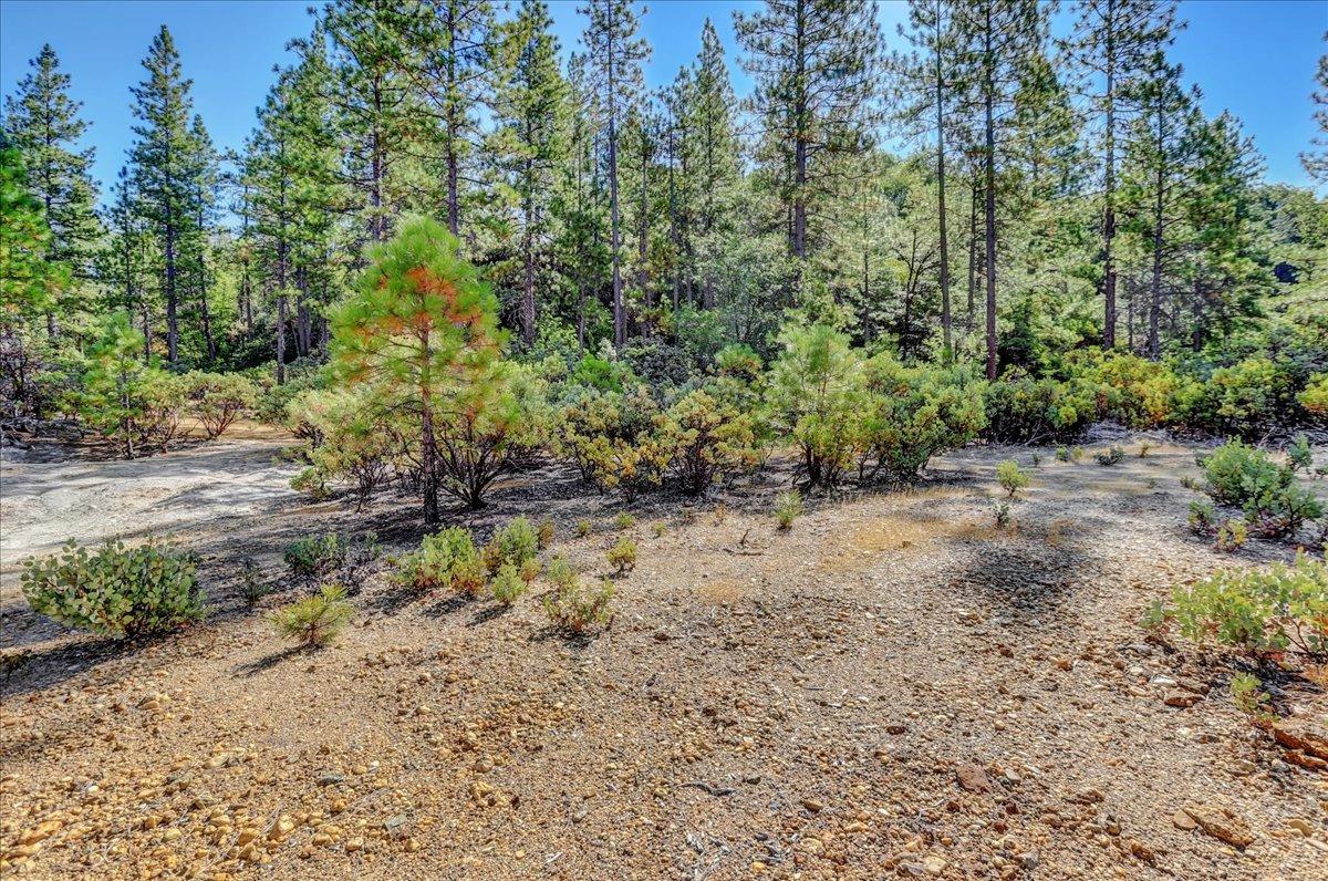 Detail Gallery Image 83 of 99 For 18955 Lake City Rd, Nevada City,  CA 95959 - 3 Beds | 3 Baths