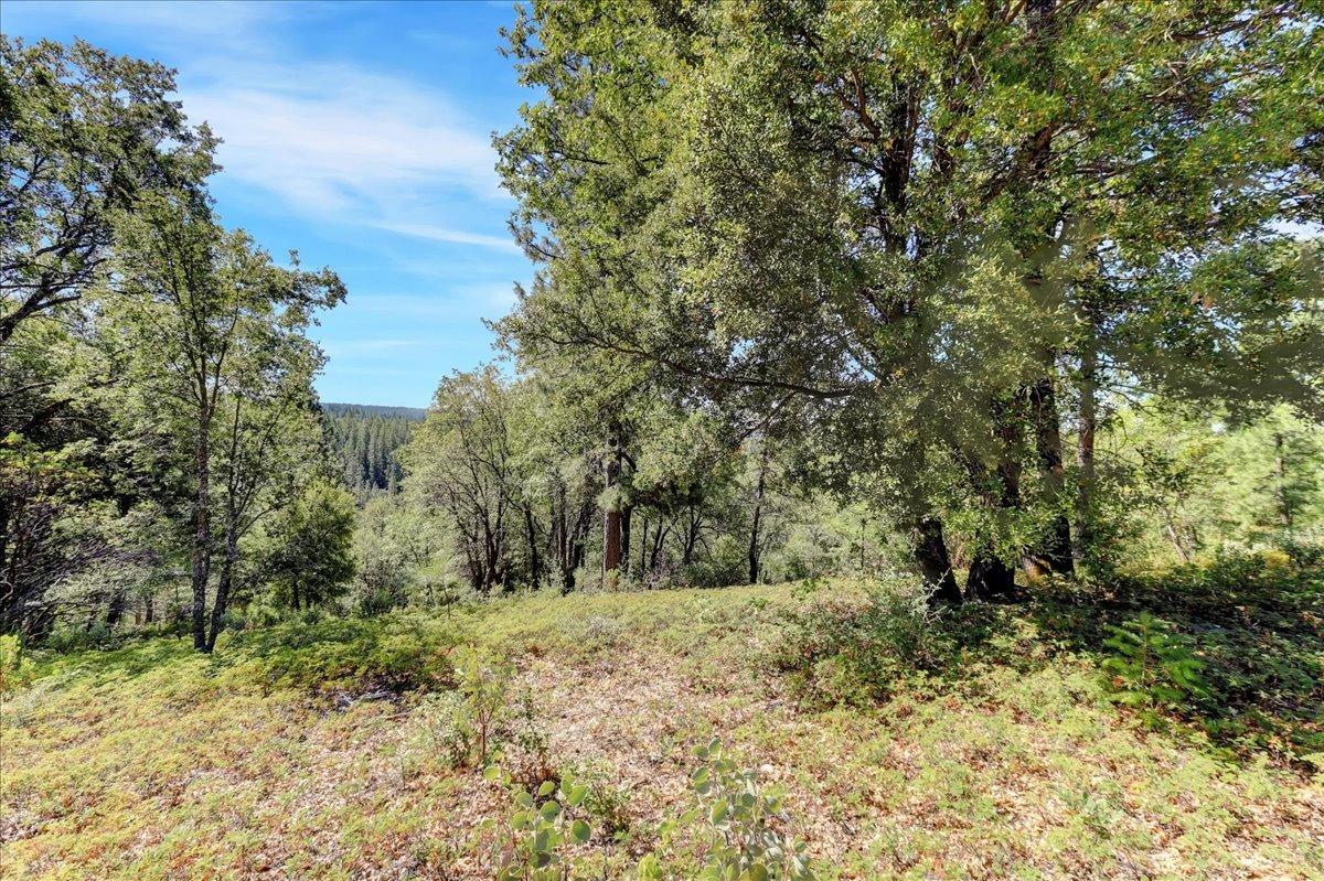 Detail Gallery Image 91 of 99 For 18955 Lake City Rd, Nevada City,  CA 95959 - 3 Beds | 3 Baths