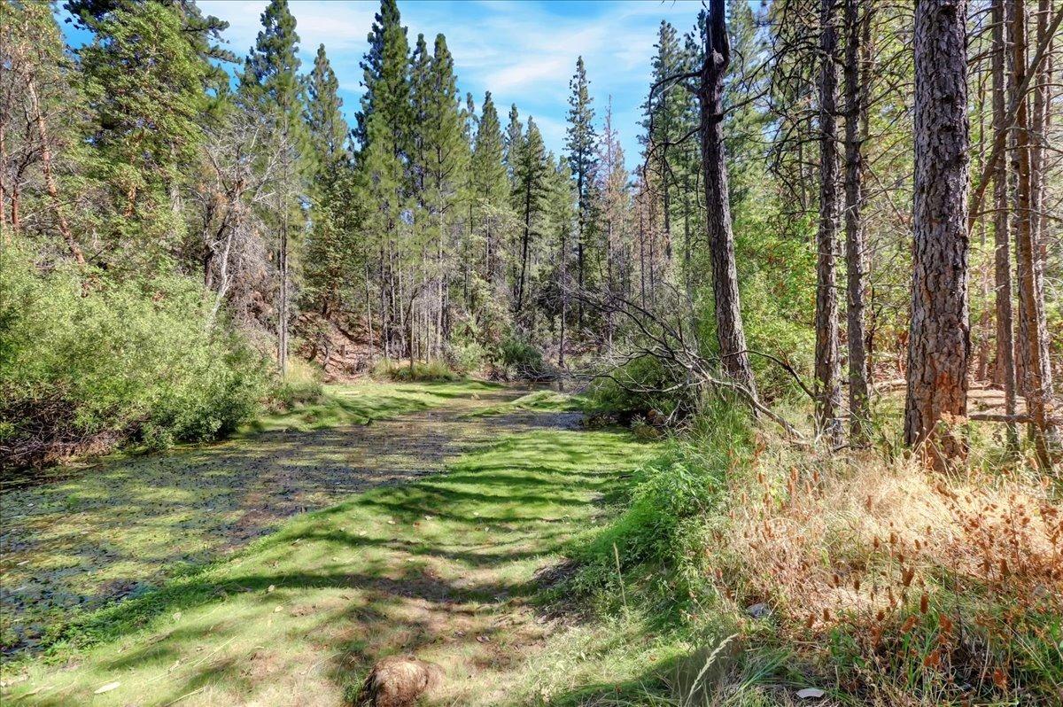 Detail Gallery Image 87 of 99 For 18955 Lake City Rd, Nevada City,  CA 95959 - 3 Beds | 3 Baths