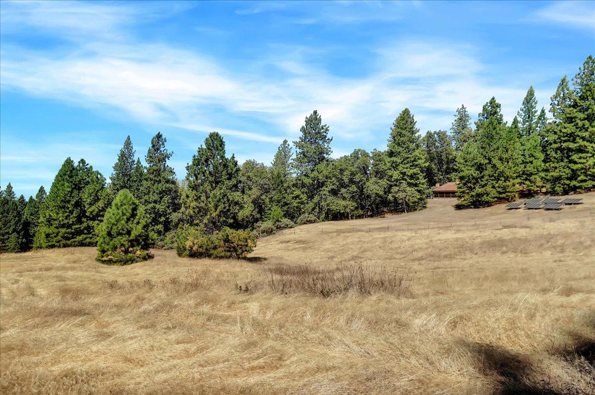 Detail Gallery Image 95 of 99 For 18955 Lake City Rd, Nevada City,  CA 95959 - 3 Beds | 3 Baths