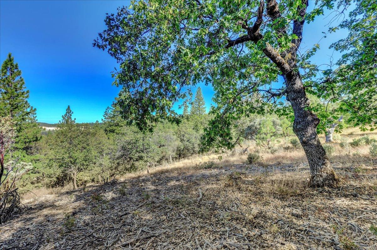 Detail Gallery Image 81 of 99 For 18955 Lake City Rd, Nevada City,  CA 95959 - 3 Beds | 3 Baths