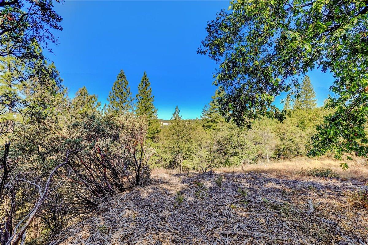 Detail Gallery Image 80 of 99 For 18955 Lake City Rd, Nevada City,  CA 95959 - 3 Beds | 3 Baths