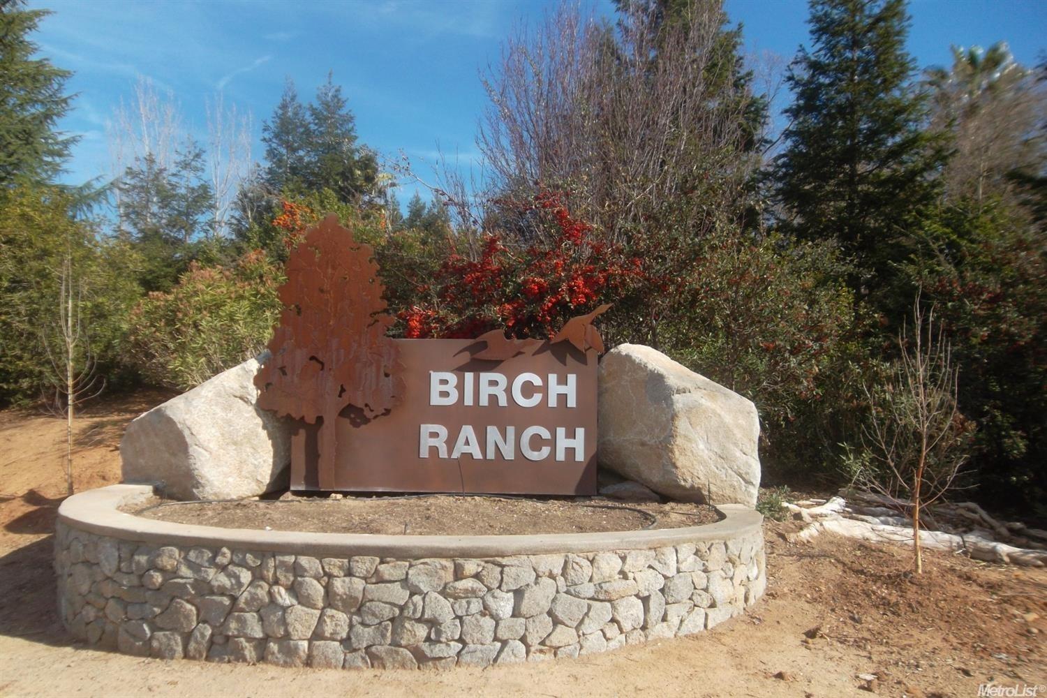 Birch Ranch Drive, Sacramento, California image 1