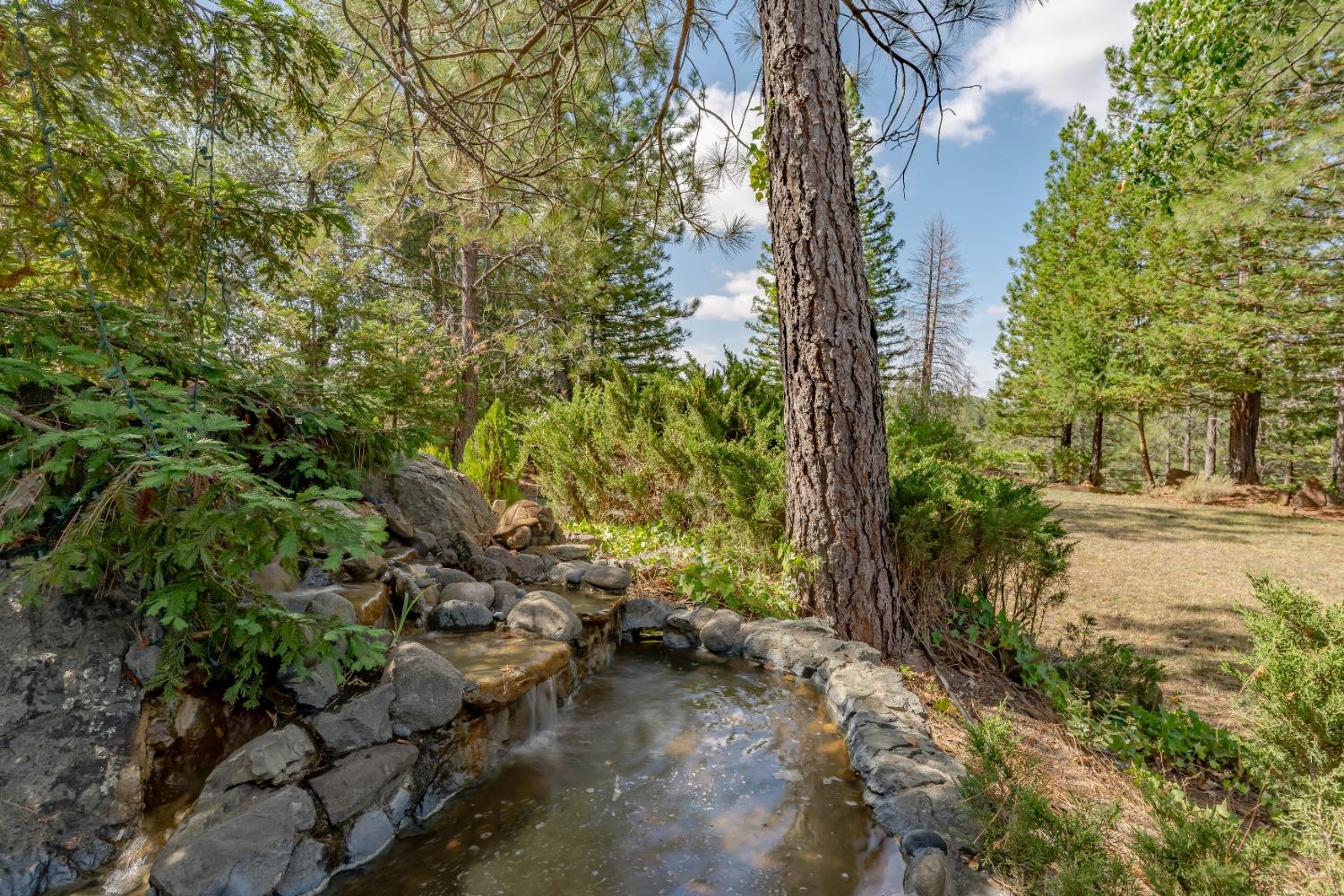 Boole Road, Applegate, California image 35