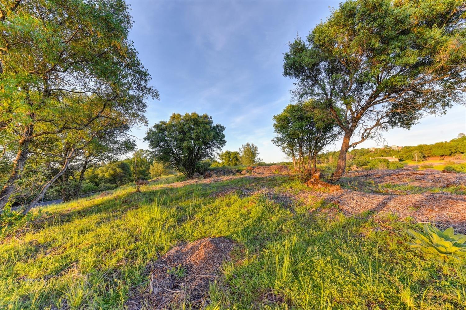 Detail Gallery Image 16 of 42 For 2321 Greensboro Rd, Placerville,  CA 95667 - – Beds | – Baths