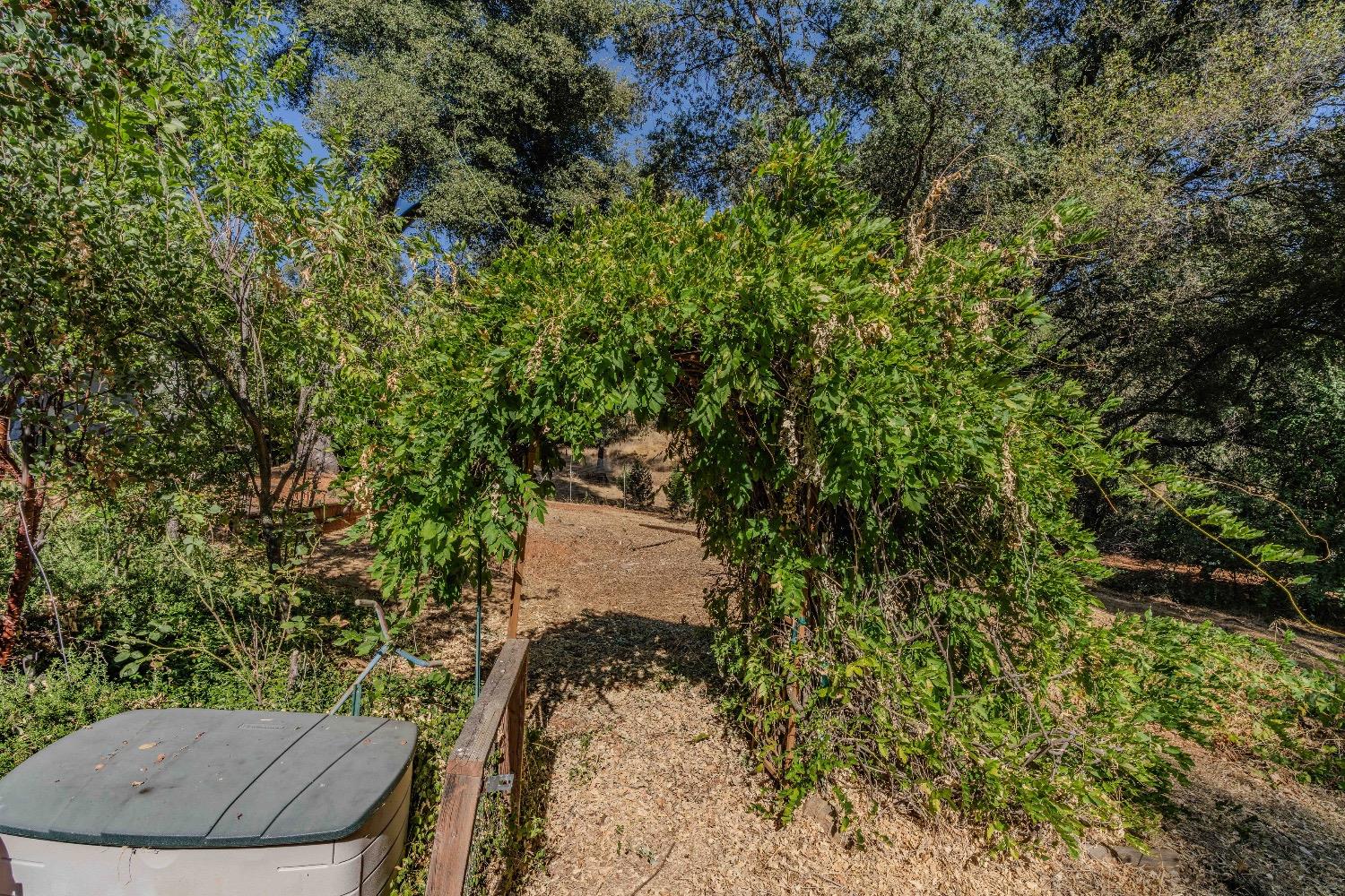 Detail Gallery Image 73 of 98 For 17072 Robinson Rd, Sutter Creek,  CA 95685 - 3 Beds | 2/1 Baths