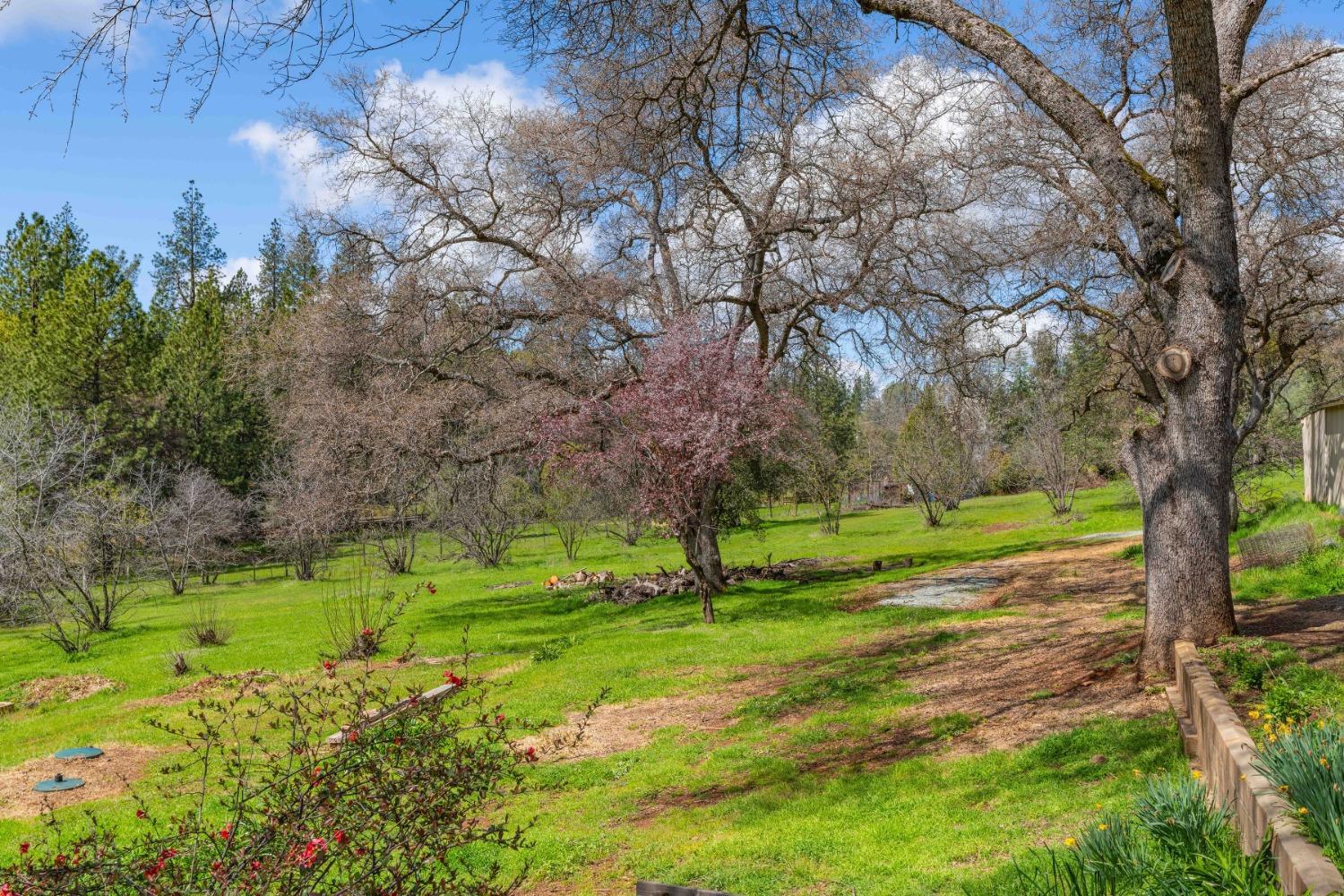 Detail Gallery Image 44 of 58 For 19840 Meadowood Dr, Jackson,  CA 95642 - 3 Beds | 2/1 Baths