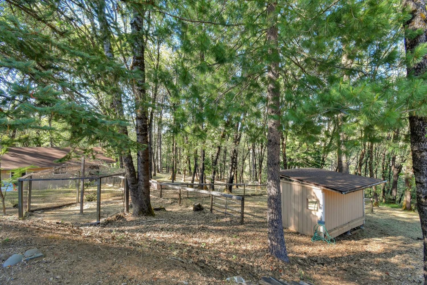 Detail Gallery Image 28 of 48 For 14119 Thoroughbred Loop, Grass Valley,  CA 95949 - 3 Beds | 2 Baths