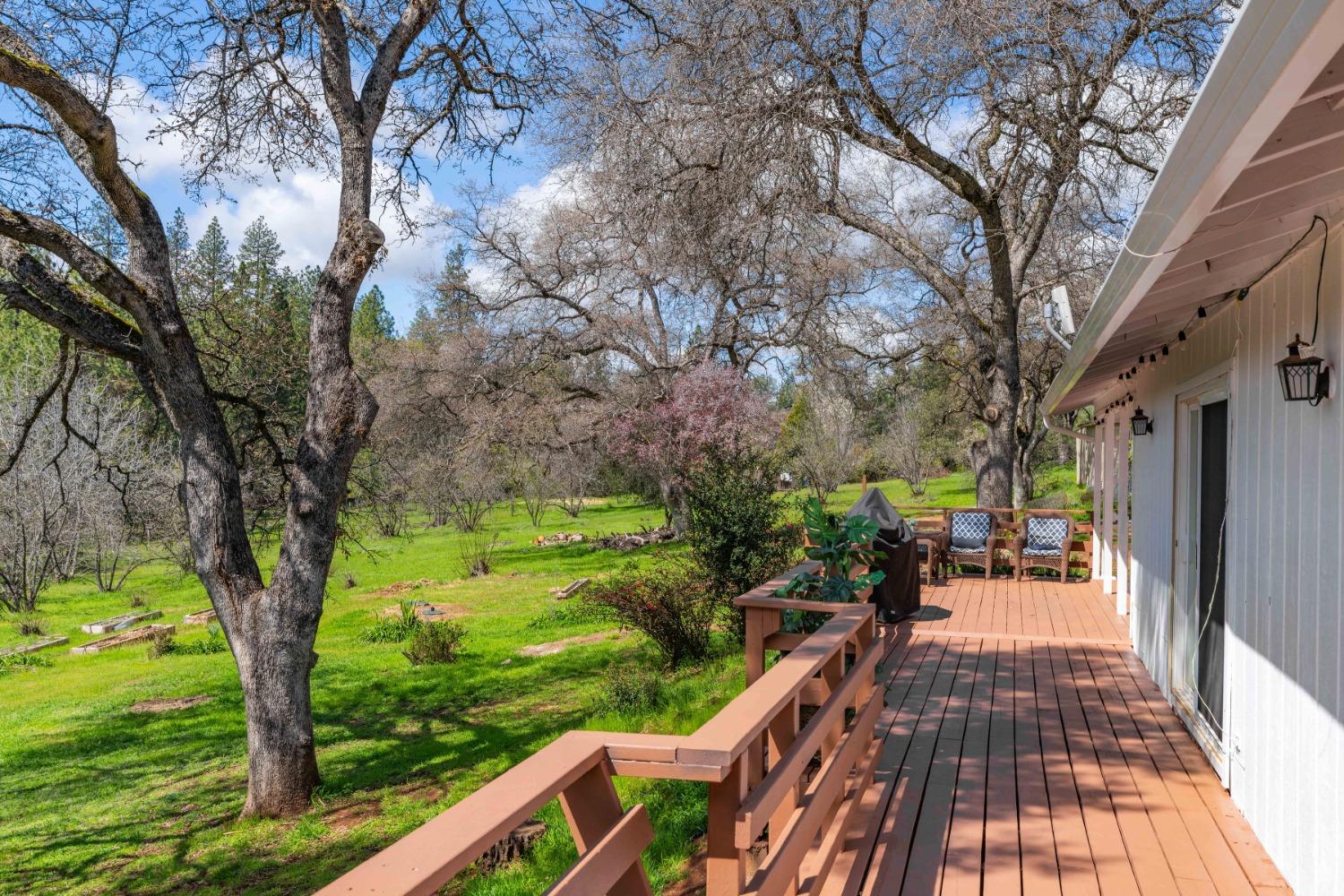 Detail Gallery Image 45 of 58 For 19840 Meadowood Dr, Jackson,  CA 95642 - 3 Beds | 2/1 Baths