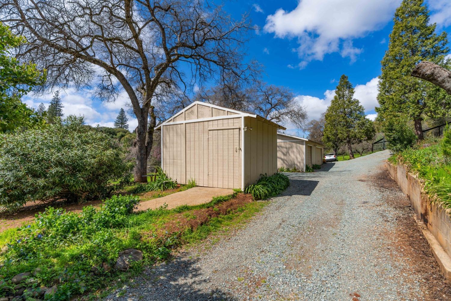 Detail Gallery Image 52 of 58 For 19840 Meadowood Dr, Jackson,  CA 95642 - 3 Beds | 2/1 Baths