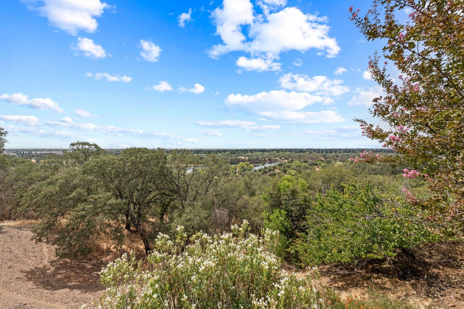 Bluff Lane, Fair Oaks, California image 16