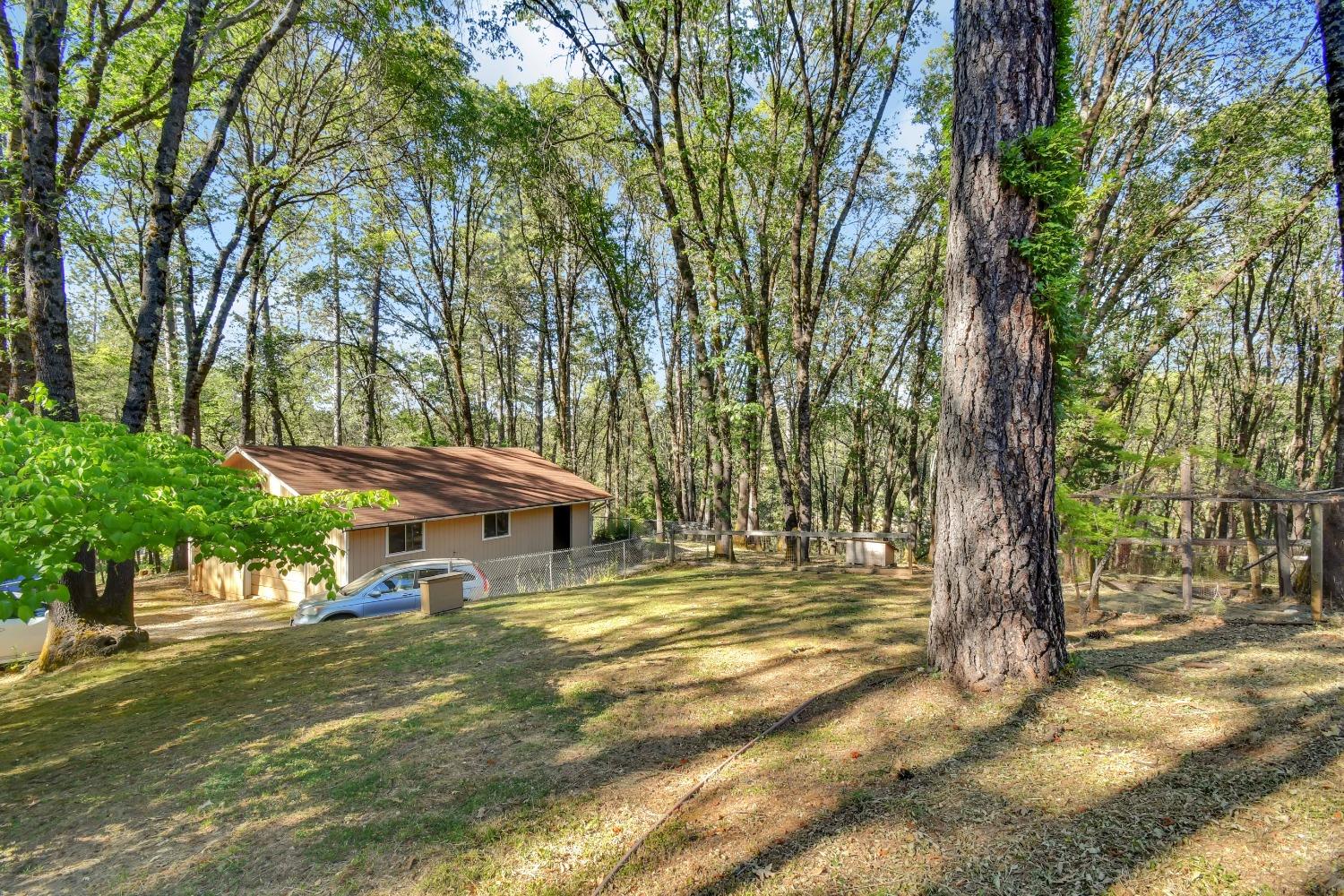 Detail Gallery Image 26 of 48 For 14119 Thoroughbred Loop, Grass Valley,  CA 95949 - 3 Beds | 2 Baths