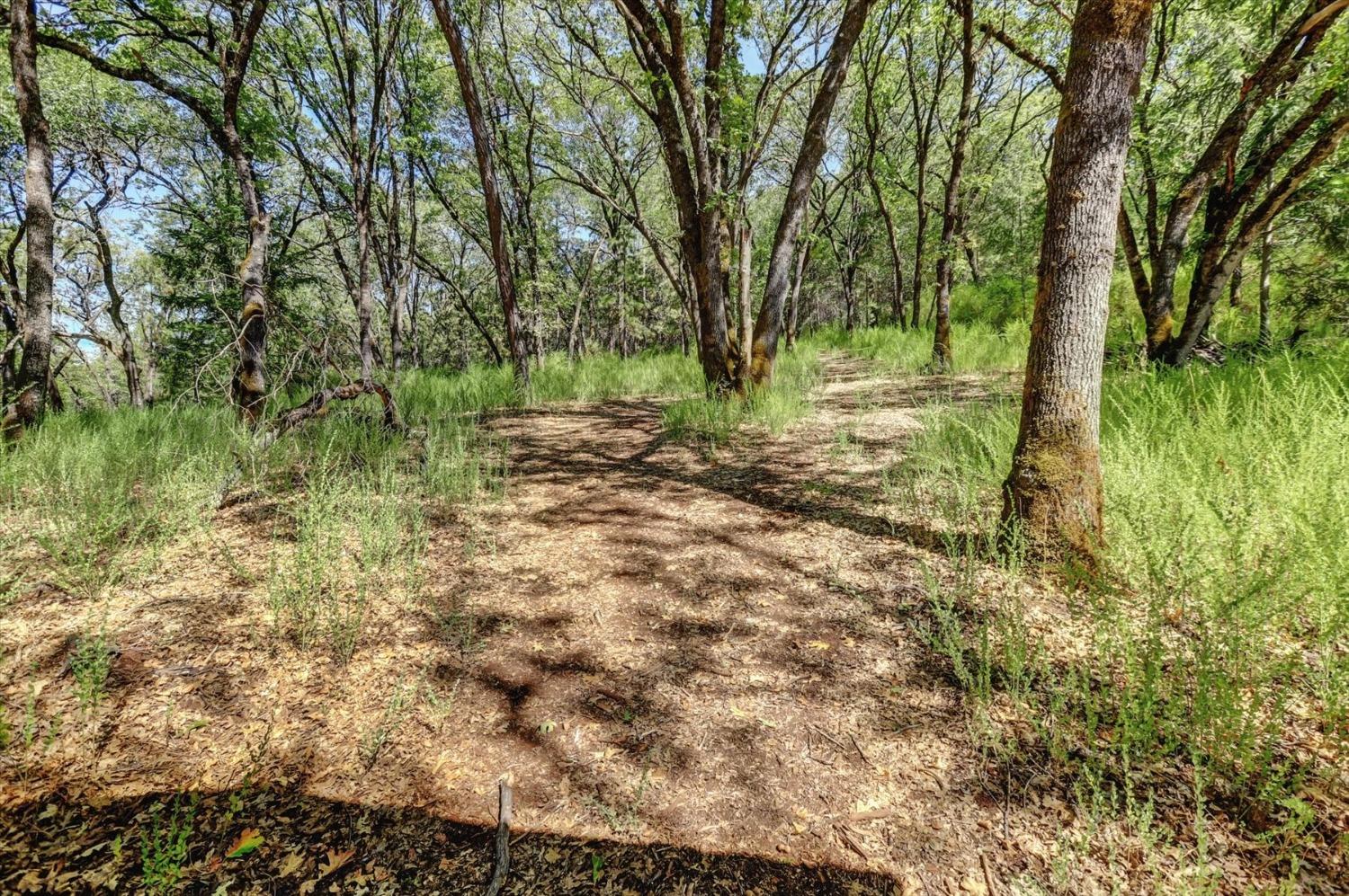 Detail Gallery Image 67 of 90 For 15385 Neils Rd, Auburn,  CA 95603 - 4 Beds | 3/1 Baths