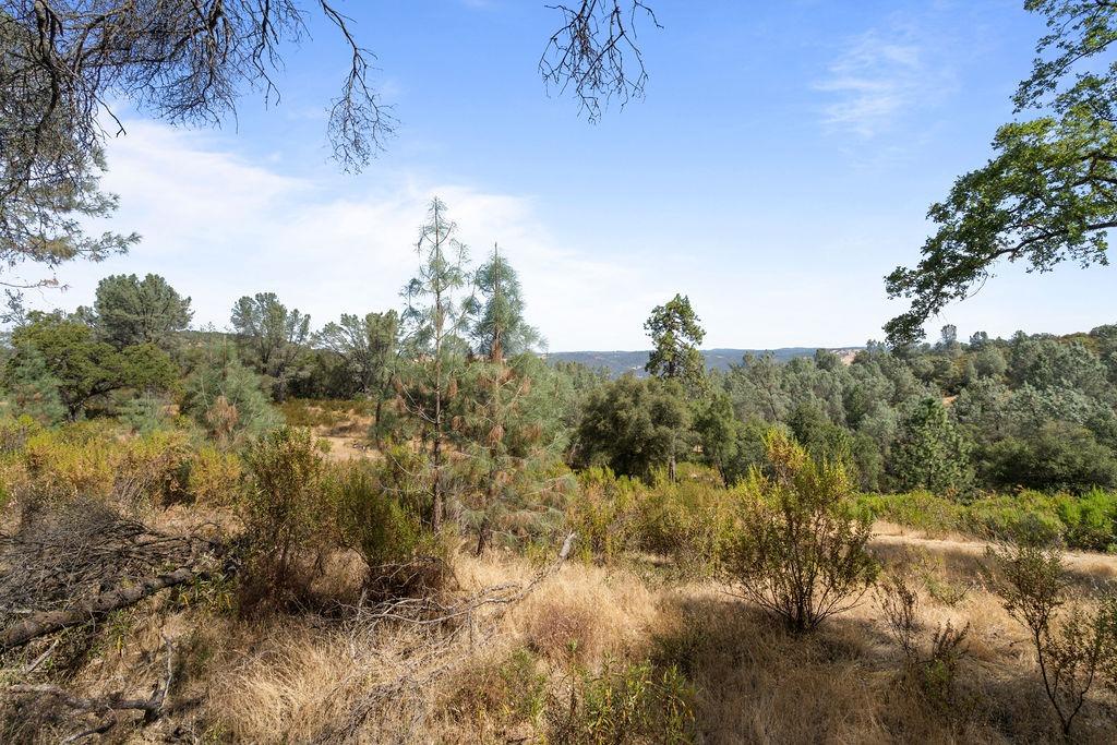 Detail Gallery Image 2 of 25 For 0 Top Hand Court - Vacant Land, Placerville,  CA 95667 - – Beds | – Baths