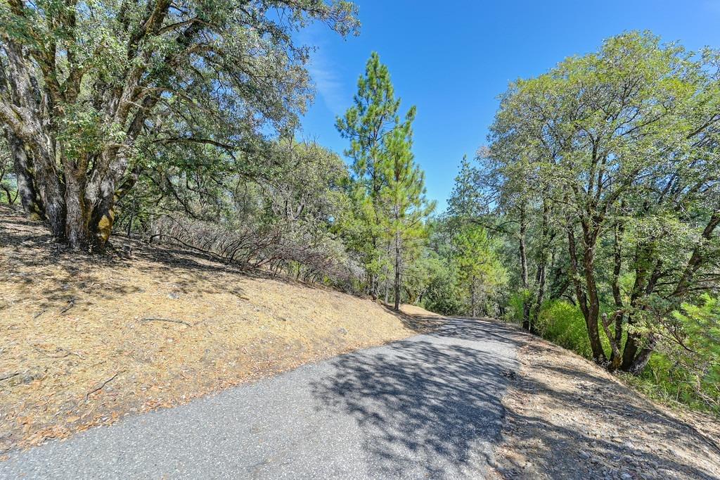 Boole Road, Applegate, California image 5