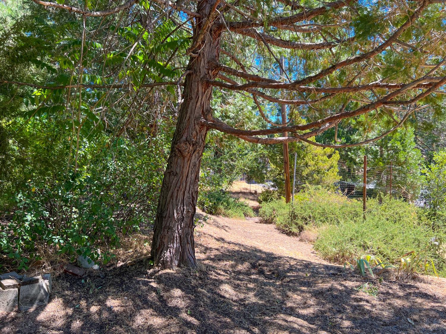 Detail Gallery Image 43 of 53 For 6260 North St, El Dorado,  CA 95623 - 2 Beds | 2 Baths