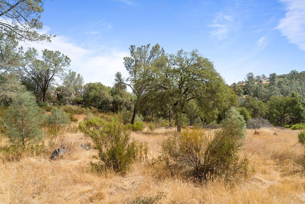 Detail Gallery Image 24 of 25 For 0 Top Hand Court - Vacant Land, Placerville,  CA 95667 - – Beds | – Baths