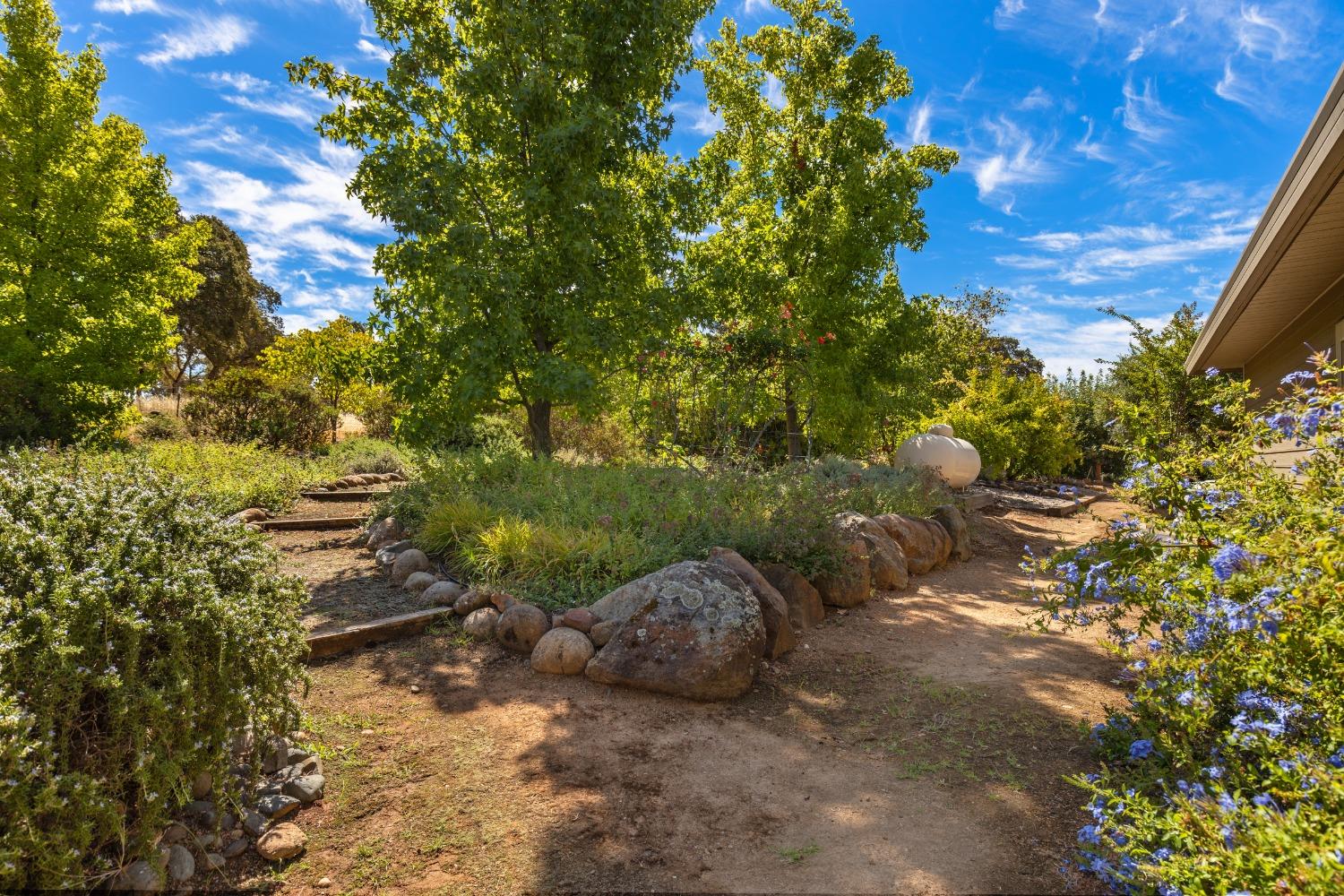 Detail Gallery Image 57 of 60 For 9771 E Stern Ln, Browns Valley,  CA 95918 - 3 Beds | 2/1 Baths