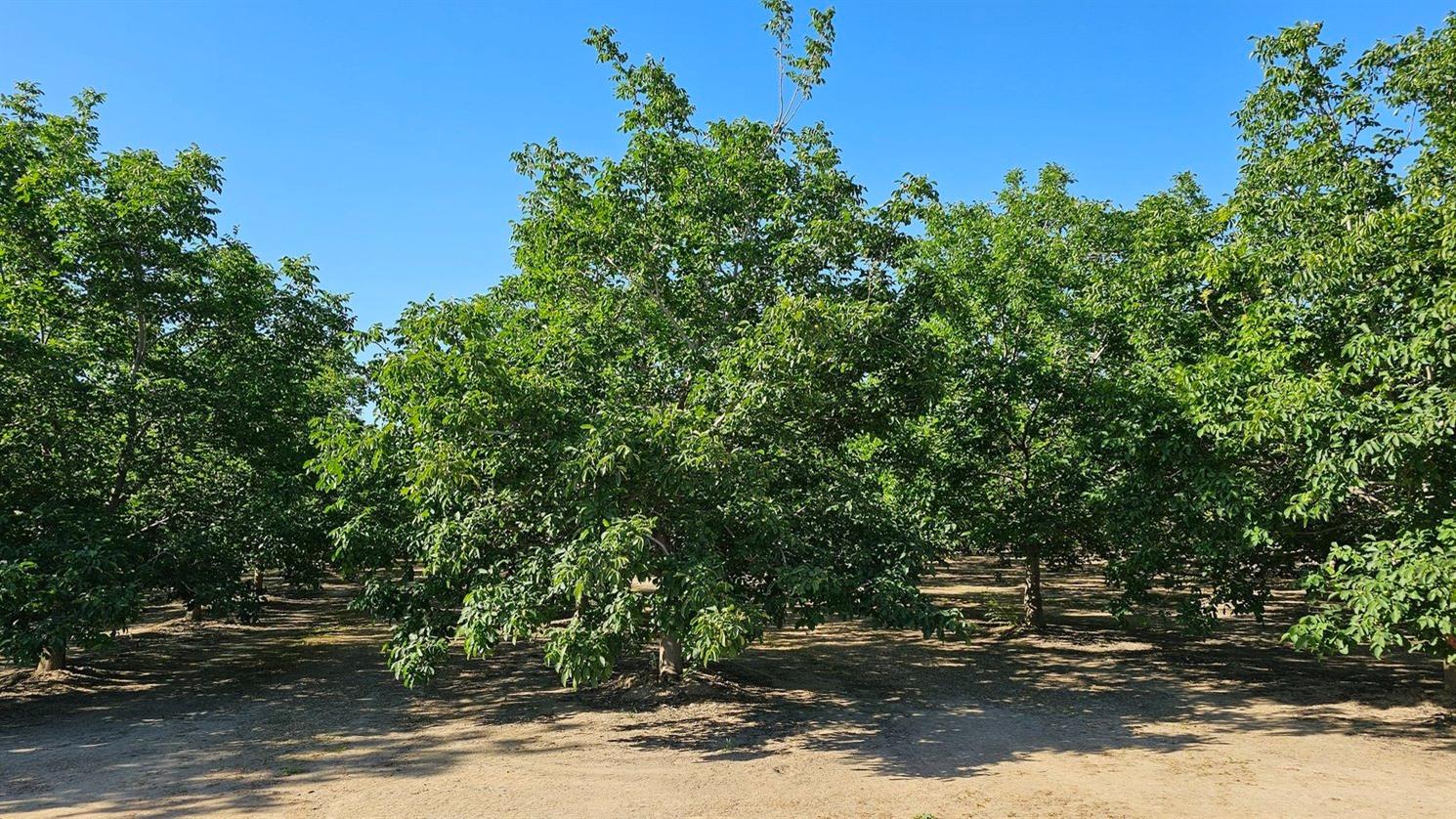 Cranmore Road, Meridian, California image 3