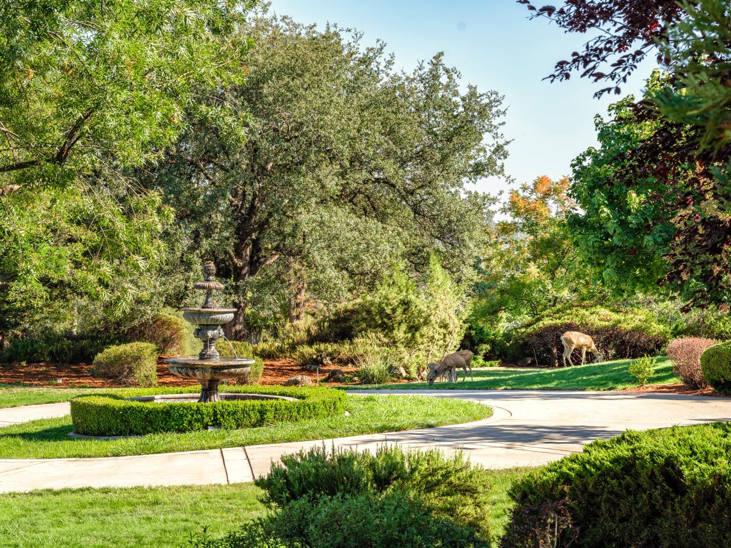 Detail Gallery Image 68 of 76 For 1910 Overlook Ct, Placerville,  CA 95667 - 4 Beds | 4/2 Baths