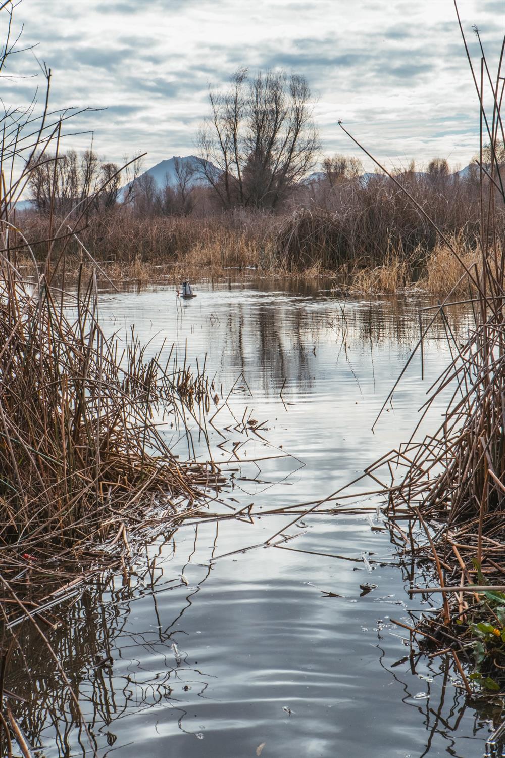 N Butte Road, Live Oak, California image 15