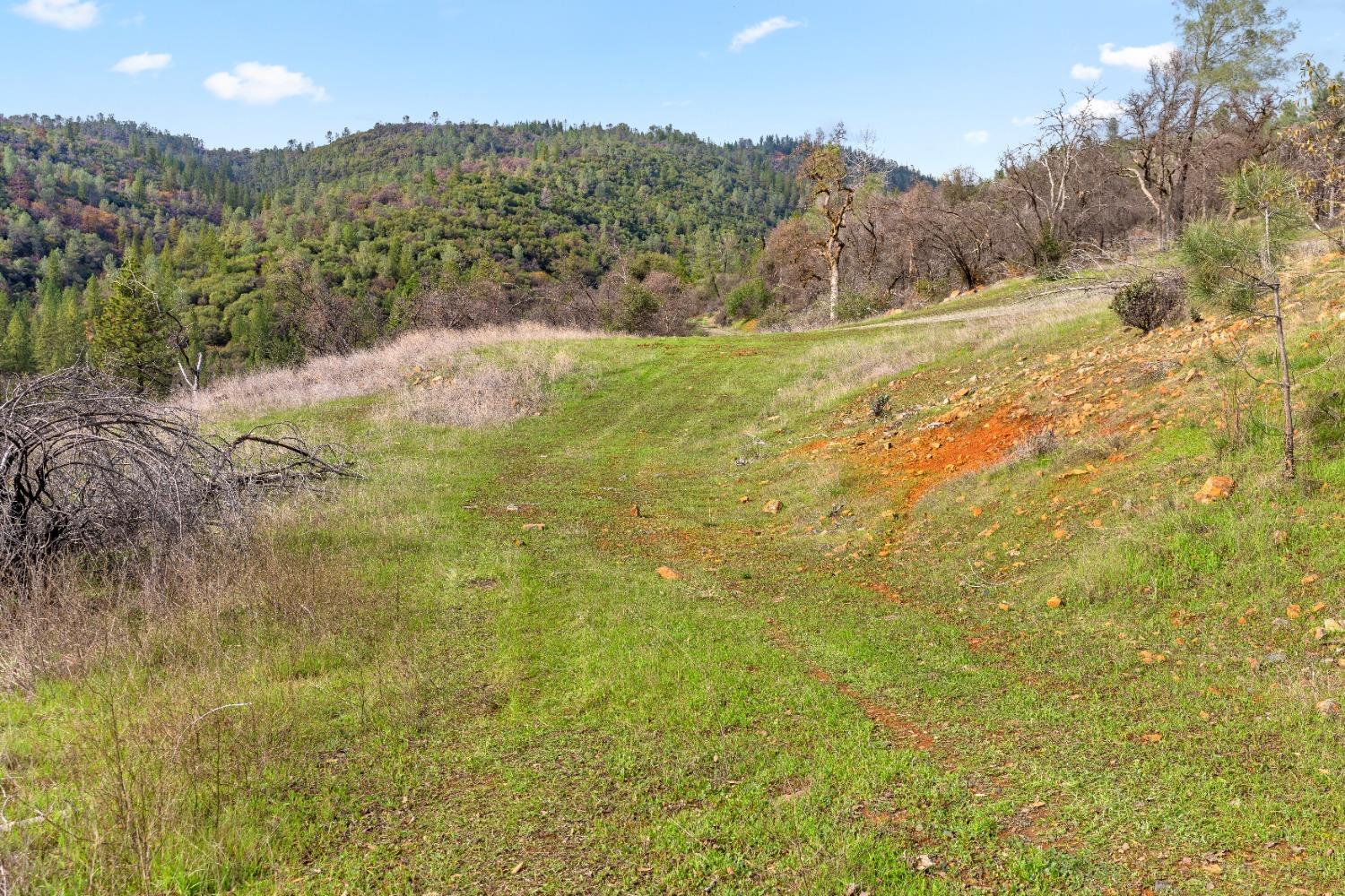 Eagle Nest Way, Oregon House, California image 45