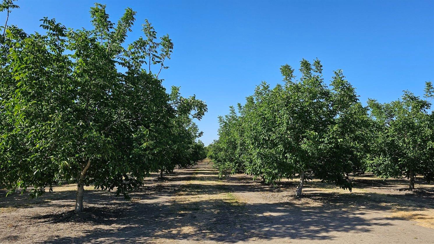 Cranmore Road, Meridian, California image 21