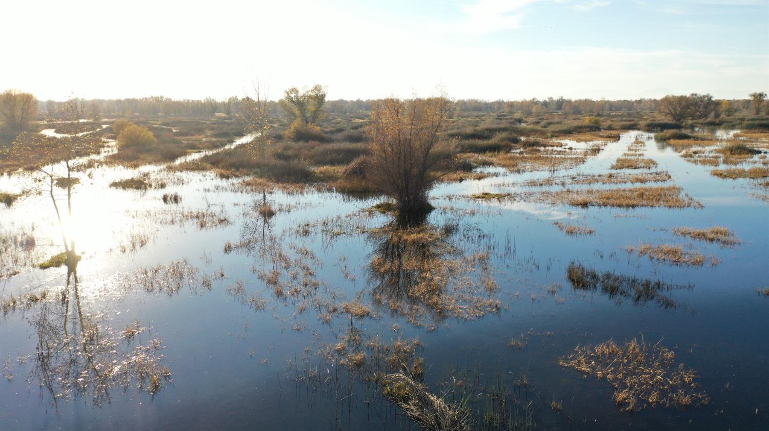 N Butte Road, Live Oak, California image 3