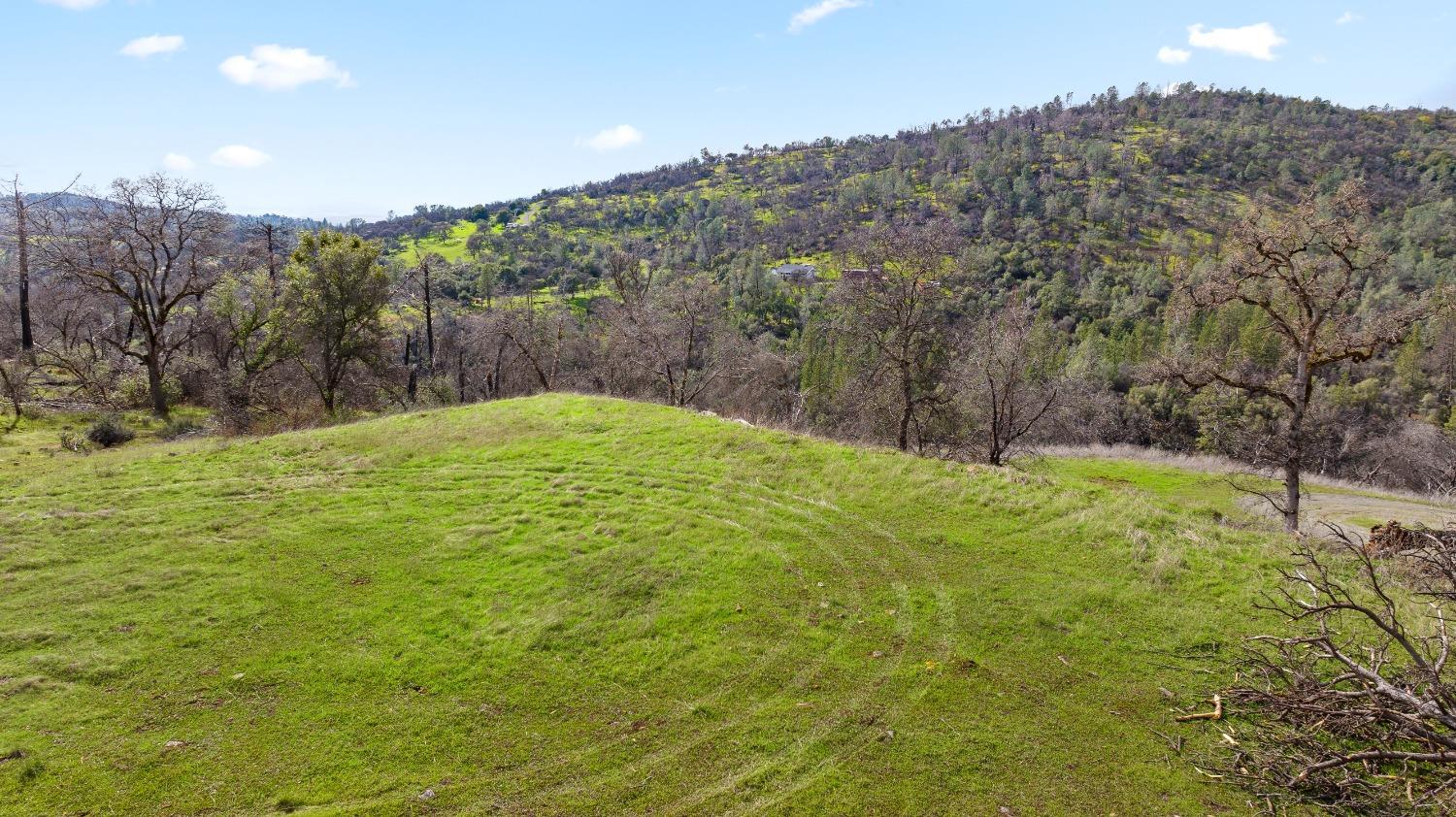 Eagle Nest Way, Oregon House, California image 7