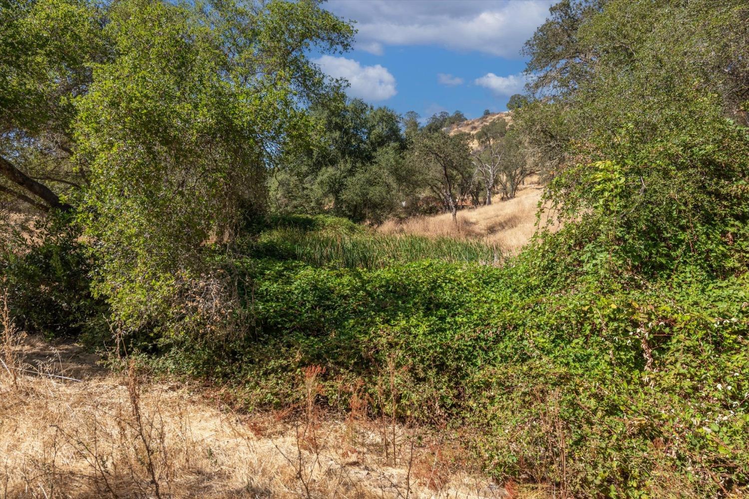 Detail Gallery Image 26 of 31 For 3791 Cothrin Ranch Rd, Shingle Springs,  CA 95682 - 2 Beds | 2 Baths