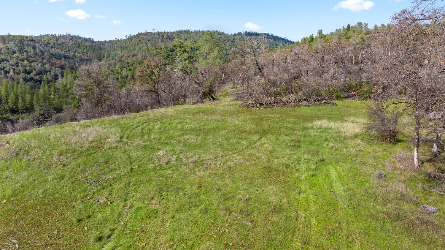 Eagle Nest Way, Oregon House, California image 6